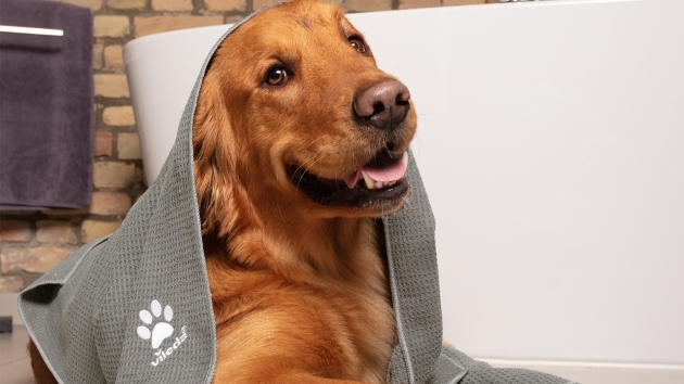 Vileda launcht neue Range für Haustierbesitzer:innen - Vileda-Pet-Pro-Microfasertuch - Quelle: Vileda
